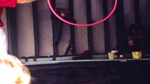 Dolphins jump through hoops Stock Footage 83468940