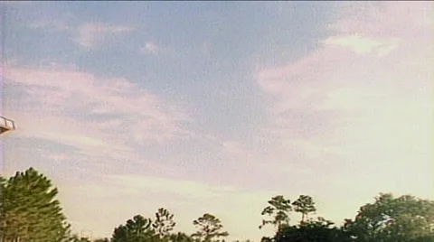 Dolphins jumping, frontal view, Florida 스톡 동영상 29805202