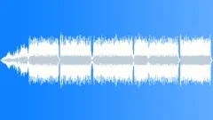 With Dolphins Stock Music