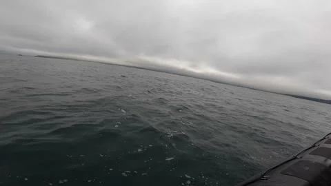 Dolphins in Ocean Water Stock Footage 162185722
