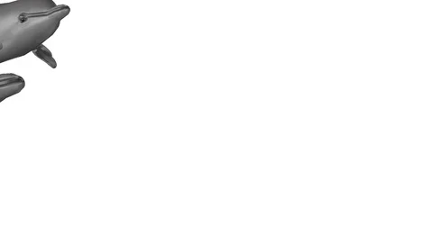 DOLPHINS PASSING FRONT LEFT VIEW B Vídeos de archivo 99092816