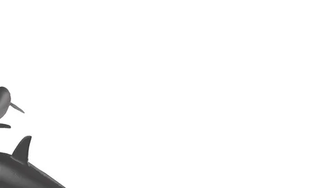 DOLPHINS PASSING RIGHT VIEW Stock-Footage 99091439