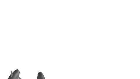 DOLPHINS PASSING RIGHT VIEW Vídeos de archivo 99093243