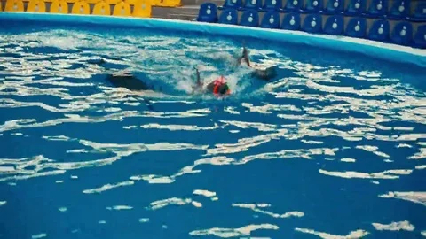 Dolphins perform at the Dolphinarium Stock Footage 69132953