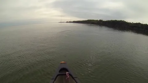 Dolphins Play Around Canoe Cloudy Peaceful Tampa Bay FL Stock Footage 211877993
