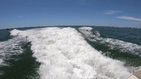 Dolphins playing behind boat Vídeos de archivo 219237977