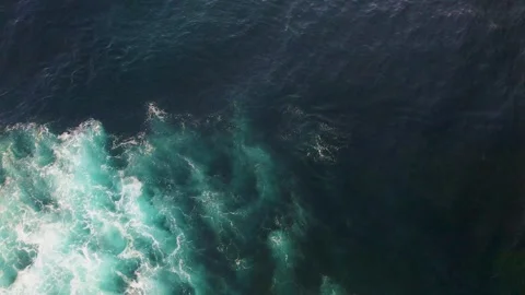 Dolphins playing in the surf Stock Footage 283338566