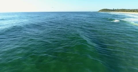Dolphins playing the waves at an Australian beach landscape 스톡 동영상 110104702