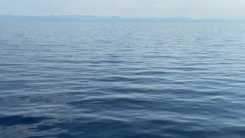 Dolphins in the sea jump while sailing the cruise ship ferry 스톡 동영상 205375382