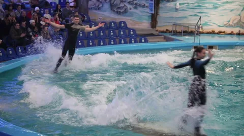 Dolphins show in the dolphinarium. Stock Footage 46024068