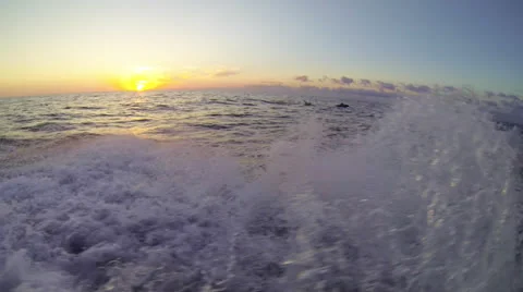 Dolphins Sunrise Stock Footage 24683990