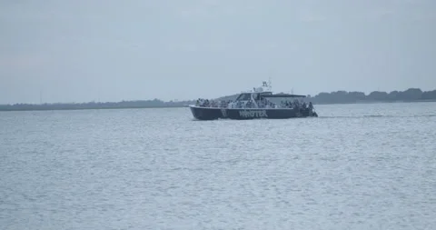 Dolphins Surface in front of Ship Full of People Stock Footage 153119230
