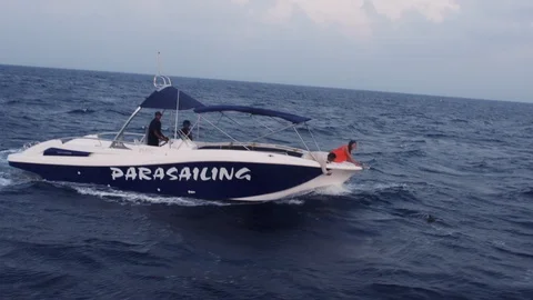 Dolphins Swimming In Front Of The Boat Stock Footage 125674480