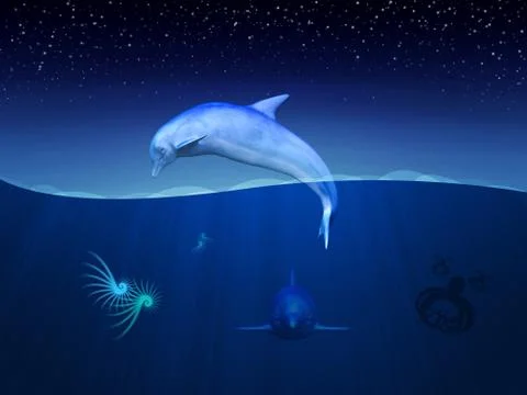 Dolphins underwater イラスト素材