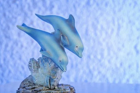 Dolphins in the water Stock Photos