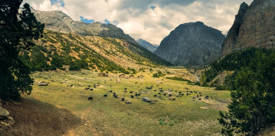 Dolpo Stock Photos