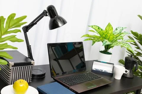 A domain computer workstation among potted plants with bright lighting. The Foto stock