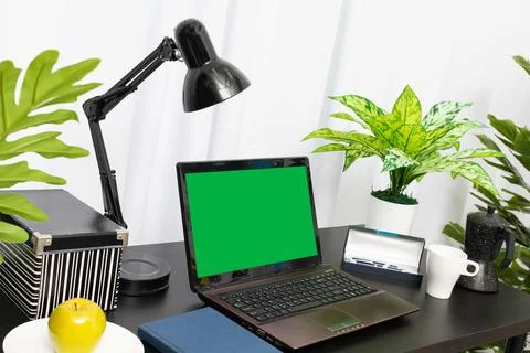 A domain computer workstation among potted plants with bright lighting. The Foto stock