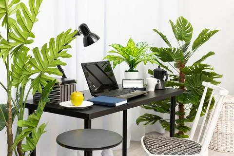A domain computer workstation among potted plants with bright lighting. The Foto stock