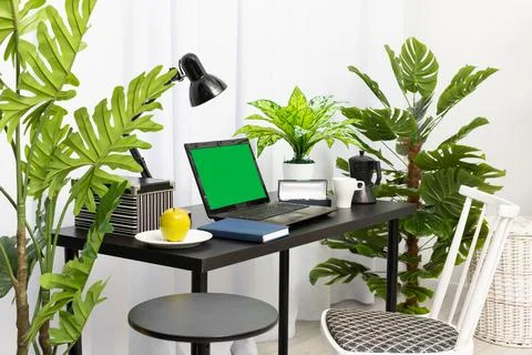 A domain computer workstation among potted plants with bright lighting. The Foto stock