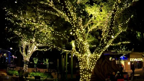 The Domain Outdoor Mall decked out for the Holidays Stock Footage 100054068