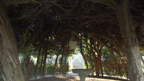 Dome built with trees with a marble table at the center Stock Footage 128923250
