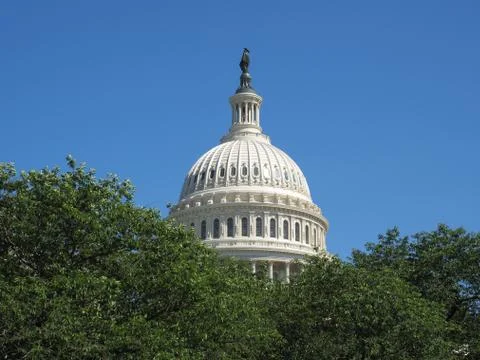 The dome of the Capitol. Stock Photos