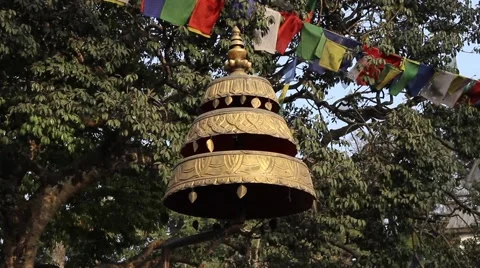 Dome hanging in the air, amid the trees and flags Stock Footage 59159114