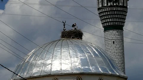 Dome of the mosque, and storks nest, Stock Footage 104620234