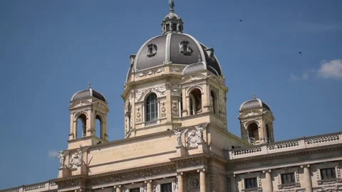 Dome of Museum of Fine Arts history in Vienna, real time raw video Stock Footage 134988341