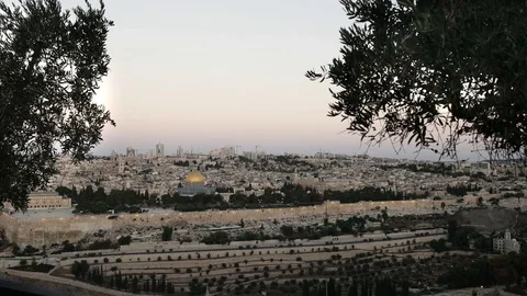 Dome of the rock at dawn framed by olive trees in jerusalem Stock-Footage 70005069