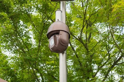 Dome security camera monitors public park area with tree background. survei.. Stock Photos