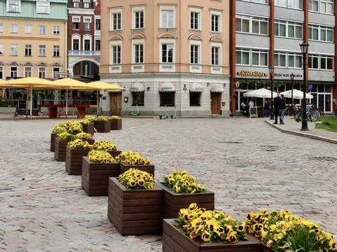 Dome square in Riga Stock Photos