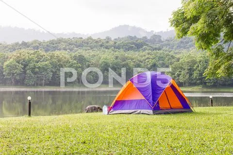 Dome Tents Camping In Forest