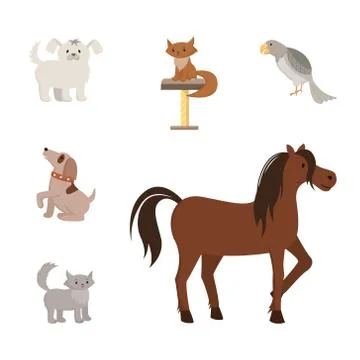 Domestic animals flat vector illustrations set. Cartoon toy dogs, purebred pets Illustrazione stock