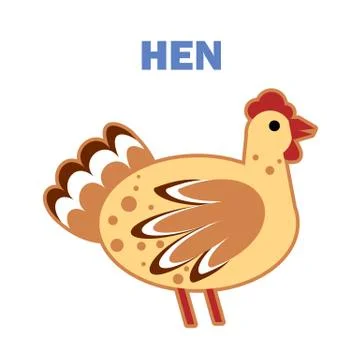 Domestic bird hen isolated Stock Illustration