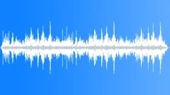 Domestic Cat CU PurringSound Effect
