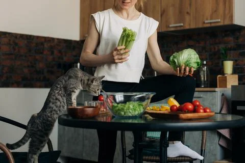 Domestic cat on the table in the kitchen sniffs the salad that the girl cooks at Stock Photos