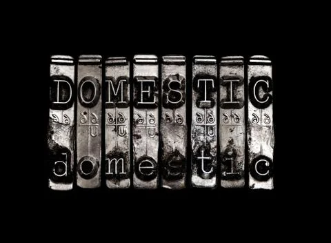 Domestic concept Stock Illustration