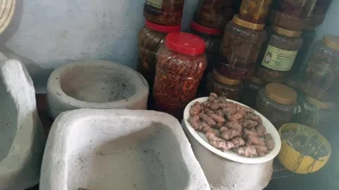 Domestic pickles Stock Footage 309756505