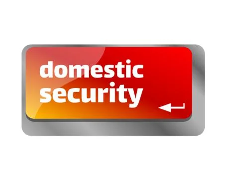Domestic security . Close up of keyboard, enter computer key. Stock Illustration