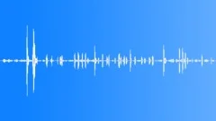 Domestic Sheep CU DistantSound Effect
