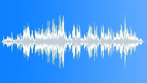 Domestic Yak CU Sounds Sound Effect