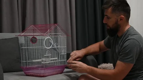 A domesticated parrot sits in a cage, a man tries to feed the parrot from h.. Stock Footage 345645232