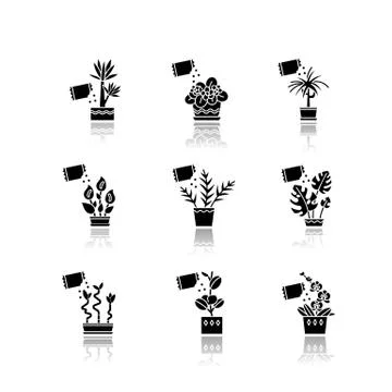 Domesticated plants drop shadow black glyph icons set. Houseplants. Decorativ Stock Illustration