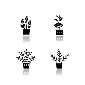 Domesticated plants drop shadow black glyph icons set. Houseplants. Indoor pl Illustrazione stock