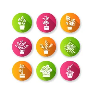 Domesticated plants flat design long shadow glyph icons set. Houseplants. Dec Stock Illustration