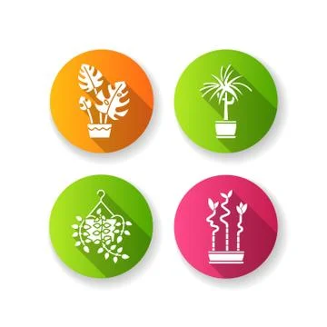 Domesticated plants flat design long shadow glyph icons set. Houseplants. Orn Illustrazione stock