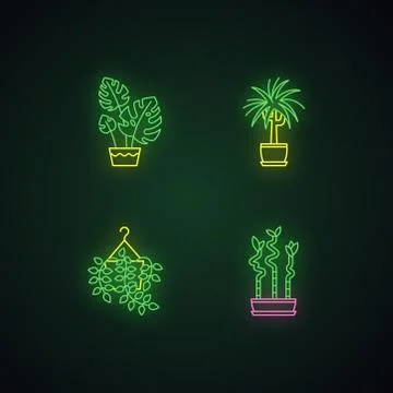 Domesticated plants neon light icons set. Houseplants. Ornamental indoor plan Illustrazione stock