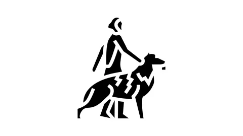 Domestication animals human evolution glyph icon animation Stock Footage 326155552